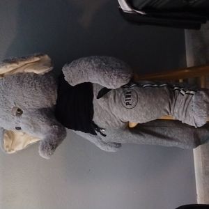 Victoria's secret's boyfriend jogger pants